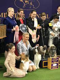 Westminster Dog Show On Twitter: "The Winner Of The 2019 Best In Junior  Handler Is Madeline Beuhler! #Wkcdogshow Https://T.co/Uajz1Wremn" / Twitter