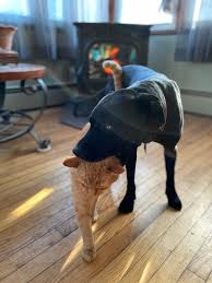 Check out what 1,120 people have written so far, and share your own experience. Nom Animalsbeingjerks
