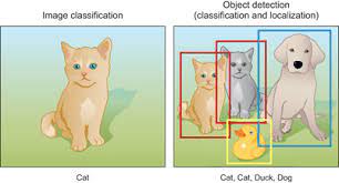 Identify what objects in the image (classification) and where they are (localization). 7 Object Detection With R Cnn Ssd And Yolo Deep Learning For Vision Systems