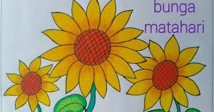 If your child loves bunnies, share in their joy and color with them! Koleksi Gambar Bunga Matahari Yang Cantik Worldofghibli Id