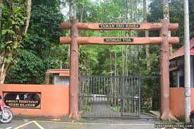 Maybe you would like to learn more about one of these? Taman Negeri Selangor Makan Tengahari Dan Main Air Sungai Di Hutan Lipur Sungai Tua Xplorasi Destinasi
