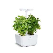 10 idées déco pour donner un peu de fun à son intérieur. Potager Exky Classic Jardin Aromatique D Interieur Compact Autonome