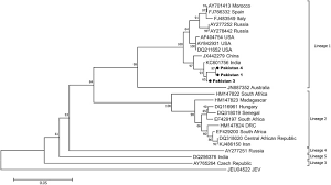 Four of the seven states — iowa, illinois. Detection Of West Nile Virus Lineage 1 Sequences In Blood Donors Punjab Province Pakistan International Journal Of Infectious Diseases