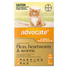 Kittens are one of the cutest among all the baby animals. Buy Advocate For Kittens Small Cats Up To 4kg Orange Online
