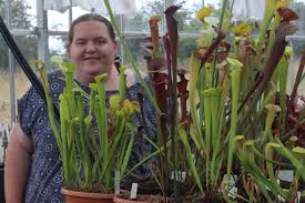Carnivoren tropica lot de 10 semences de plante cobra (darlingtonia california) avec milieu de culture de la marque carnivoren. A Villers Bocage La Seule Exploitation De Plantes Carnivores De Normandie La Voix Le Bocage