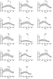 Evidence That A Positive Feedback Loop Drives Centrosome