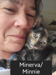 Jen Reilly (@thejenreilly) • Instagram photos and videos