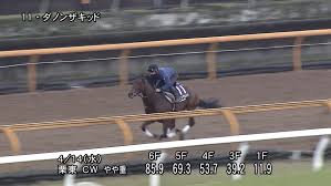 皐月賞注目 アドマイヤハダル 桜花賞◎ソダシもガミ馬券 レース回顧はブログで nzt本命バスラット. Enoa0mkpffpvcm
