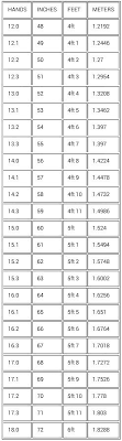 Hands To Feet Inches And Meters Chart For Horses
