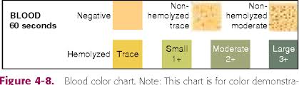 Figure 4 8 From Chemical Analysis Of Urine Key Terms