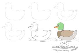 See how many duck drawing to color you can find here. How To Draw A Duck Step By Step Easylinedrawing
