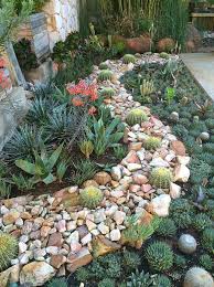 Succulent Garden Succulent Garden Design Succulent Garden Landscape Rock Garden Landscaping