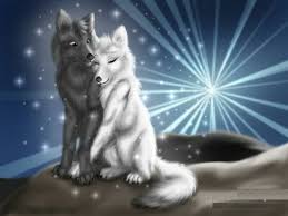 Love Wolves Animated Animals Anime Wolf Wolf Love
