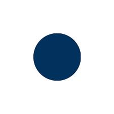 Border Store Online Wall Pops Navy Blue Dot Blue Dot Borders Store Wallpops