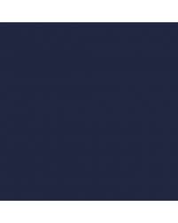 Image result for Nautical Blue 2007 Scion