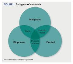 | meaning, pronunciation, translations and examples. Mini Quiz Malignant Catatonia Psychiatric Times