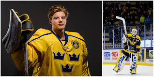 Samuel ersson profile), team pages (e.g. Efter Alla Rykten Om Shl Nu Hyllar Samuel Ersson Vik Hockey Har Dem Att Tacka For Jattemycket