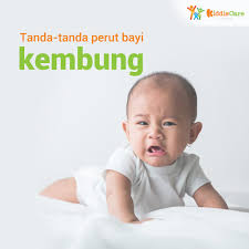 Tanda ketika bayi mengalami perut kembung biasanya ia akan mulai rewel tanpa adanya alasan yang pasti. Facebook