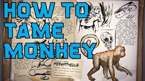 Measures will be remaining in place (hand sanitiser stations, staff screens, windows and doors kept open for ventilation & queue lines) for the moment. How To Tame Mesopithecus I Ark Mobile Youtube