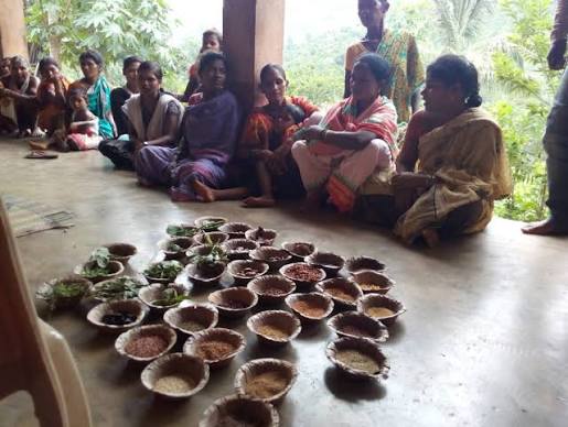 Improving the Nutritional Status of Tribal People: Lessons from the work of Living Farms, Odisha - Azim Premji University