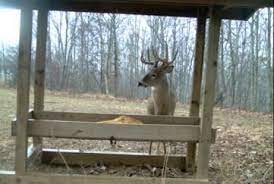 Food Plots Feeders Use Both To Ensure A Steady Food Source Deer Feeders Homemade Deer Feeders Deer Feeder Diy