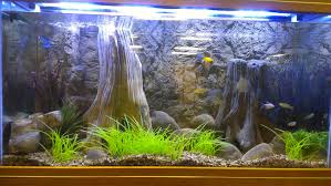 Fish Tank And Aquarium Backgrounds Universal Rocks Aquarium Backgrounds 3d Background Aquarium