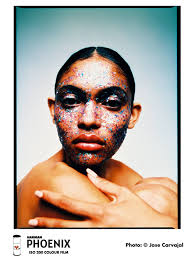 Harman Photo Harman Phoenix ISO 200 120 film