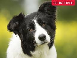 If that's the case with you and your family, we can only imagine how stressed and scared you must be in this time. Sponsored Anti Emetics Are Standard Of Care In Preventing Chemotherapy Related Vomiting