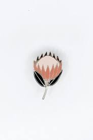 Protea Plant Pin Protea Plant Protea Flower Protea