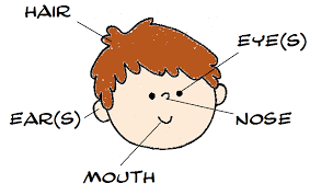 See more ideas about body parts preschool activities, body parts preschool, preschool activities. English Exercises Parts Of The Body