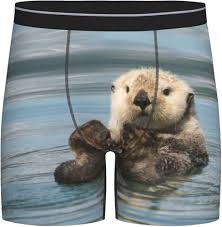 Cute Otters In The Sea Mens Boxer Briefs Soft Stretch Long Leg Underwear  Briefs For Men Teens