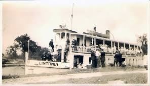 Image result for Lintonia