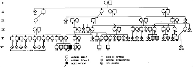 Maple Syrup Urine Disease Report Of A Case With A