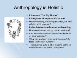 Anthropology 1101 Exam 1 Uncc W Dr Fuentes Flashcards Quizlet