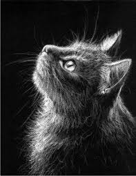Black And White Cat Drawing I Chose This White Media On Black Paper Drawing Because It Reminded Me Of My Childhood When I Would Rent Out Drawi Black Paper Black Paper Drawing White Pencil