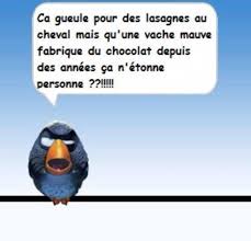 Epingle Par Stephanie R Sur Humour Humour Citations Les Plus Droles Blague