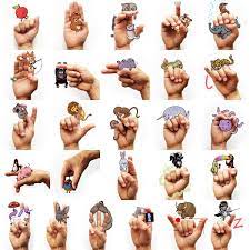 จ บต วการ ต นโลดแล นบนน ว สร างภาษาม อให จำง ายเข าถ งสะดวก sign language sign language alphabet american sign language