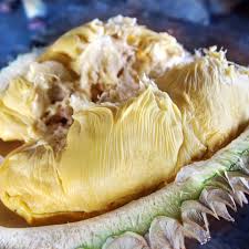 When they ripe and fall onto the ground, they tend to have more flesh and a stronger aroma. Penang Durian Season Update Mmmmmm Year Of The Durian Facebook