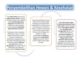 Dengan harapan kumpulan nama bayi perempuan islami disini dapat membantu para orang tua yang masih kesusahan merangkai nama dari islam. Hukum Islam Tentang Penyembelihan Hewan Ppt Download