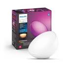 Hue Go Bluetooth Smart LED Light 7602031U7 Philips