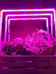 Amazon Com Elite Led Plant Grow Light Strips Set Of 3 1 64 Ft Each 18w With 2a Power On Off Switch Fle Grow Lights For Plants Grow Lights Led Grow Lights