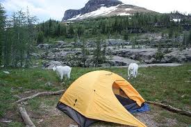 With over 700 miles of trail providing outstanding opportunities for both short hikes and extended backpacking trips, there is something for everyone. Making New Campsite Friends Picture Of Glacier National Park Montana Tripadvisor