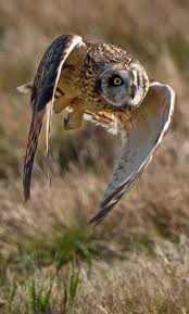 Marcus Donner (@marcusdonner) • Threads, Say more