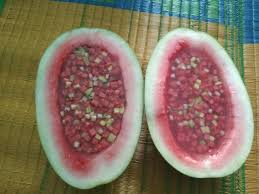 Amacı türk kullanıcılarını bir arada copyright © 2017 tr.agar.bz oyna. Agar Agar Campuran Dengan Buah Buahan Jelly Mix With Fruits Steemit