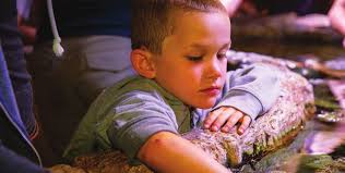 Exploration & Discovery