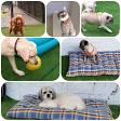 Dog Boarding product image