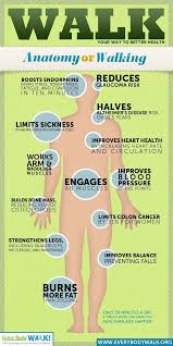 Anatomy Of Walking Yet Another Reason I Love Walking Improve Heart Health Health And Beauty Benefits Of Walking