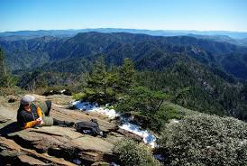 Home to both a beautiful coast with soft dunes and flat plains and rugged mountain vistas, here you can pitch a tent and have an adventure of enjoying the outdoors on a scenic hike and stargazing up at the milky way. Top 10 Hikes Great Smoky Mountains North Carolina