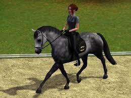 When it's ready go to the map downloads on your computer and search for the map called sims 4. Sims 3pferde Glanzen Stort Pc Pc Spiele Pferde