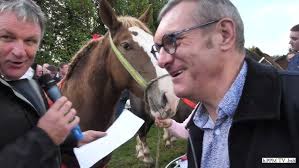 ▻4ème édition de la foire aux bestiaux des Angles